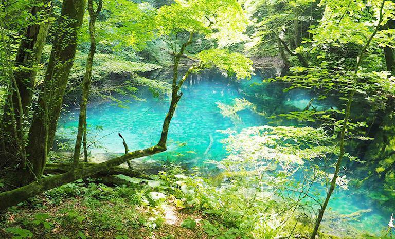東北．夏日蓊鬱7日