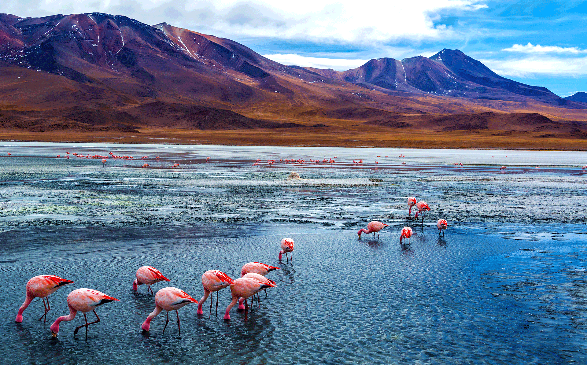 秘鲁-玻利维亚17日之旅|加利利旅游